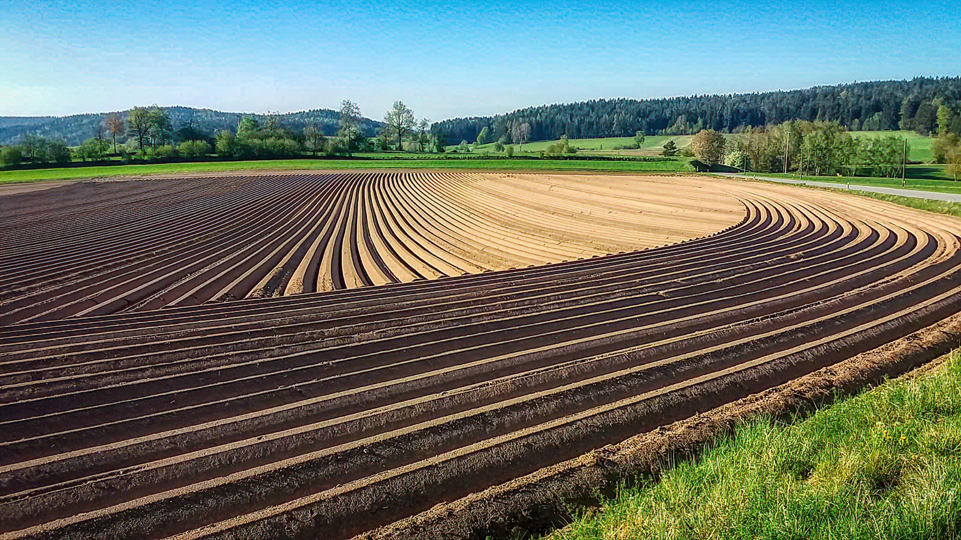 gepflügter Acker in der Morgensonne